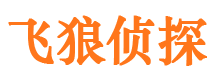 大新捉小三公司